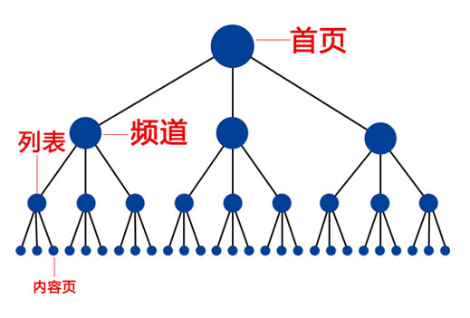 网站结构
